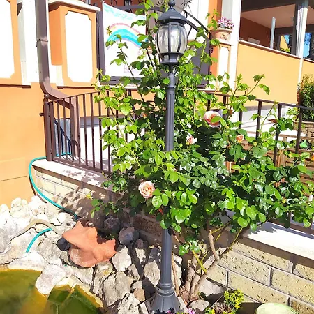 Da Zia Piera Bed & Breakfast Castelnuovo Di Porto